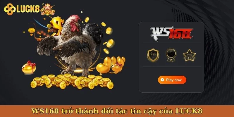 ws168-tro-thanh-doi-tac-tin-cay-cua-luck8